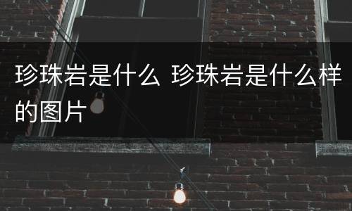 珍珠岩是什么 珍珠岩是什么样的图片