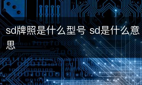 sd牌照是什么型号 sd是什么意思