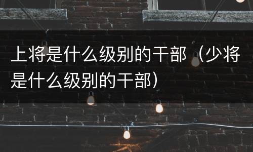 上将是什么级别的干部（少将是什么级别的干部）