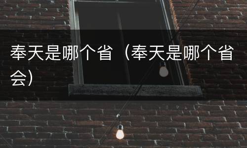 奉天是哪个省（奉天是哪个省会）