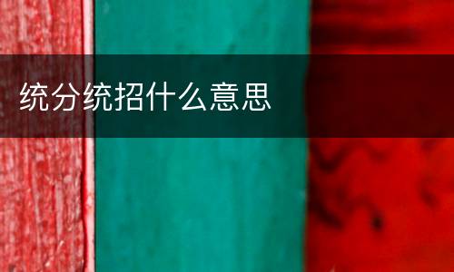 统分统招什么意思