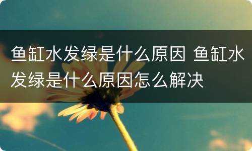 鱼缸水发绿是什么原因 鱼缸水发绿是什么原因怎么解决