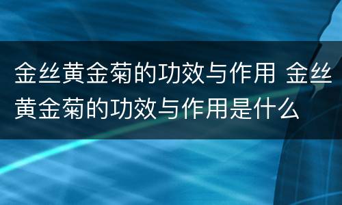 金丝黄金菊的功效与作用 金丝黄金菊的功效与作用是什么