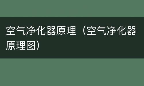 空气净化器原理（空气净化器原理图）