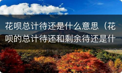花呗总计待还是什么意思（花呗的总计待还和剩余待还是什么意思）