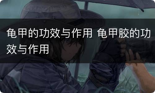 龟甲的功效与作用 龟甲胶的功效与作用