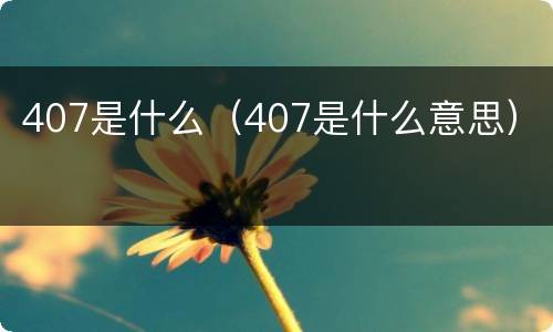 407是什么（407是什么意思）