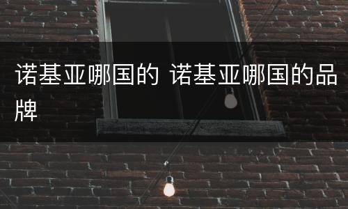 诺基亚哪国的 诺基亚哪国的品牌