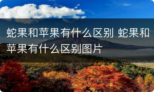 蛇果和苹果有什么区别 蛇果和苹果有什么区别图片