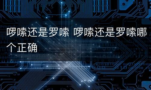 啰嗦还是罗嗦 啰嗦还是罗嗦哪个正确