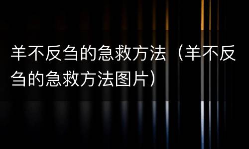 羊不反刍的急救方法（羊不反刍的急救方法图片）