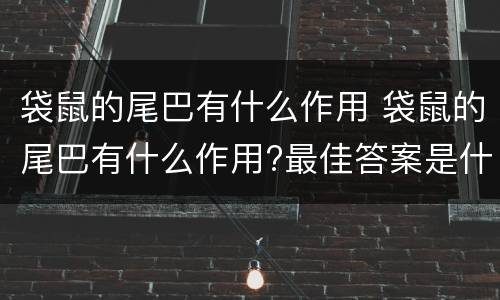 袋鼠的尾巴有什么作用 袋鼠的尾巴有什么作用?最佳答案是什么?