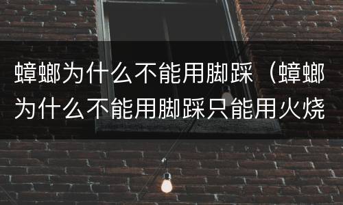 蟑螂为什么不能用脚踩（蟑螂为什么不能用脚踩只能用火烧）