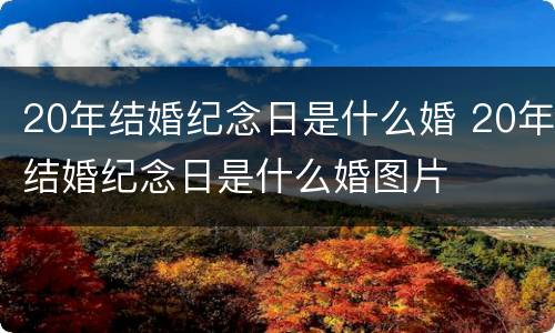 20年结婚纪念日是什么婚 20年结婚纪念日是什么婚图片
