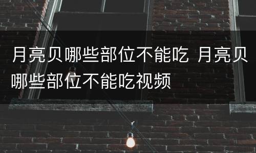 月亮贝哪些部位不能吃 月亮贝哪些部位不能吃视频