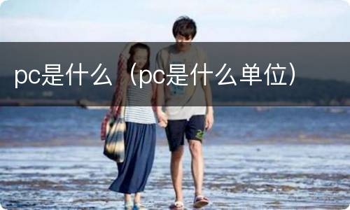 pc是什么（pc是什么单位）
