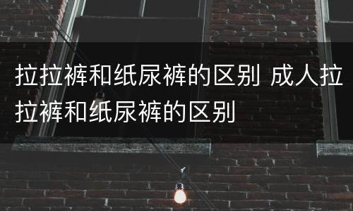 拉拉裤和纸尿裤的区别 成人拉拉裤和纸尿裤的区别
