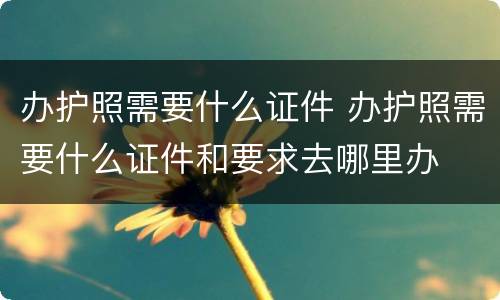 办护照需要什么证件 办护照需要什么证件和要求去哪里办