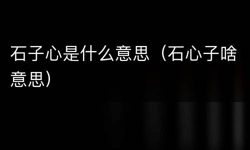 石子心是什么意思（石心子啥意思）