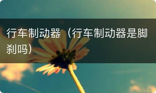 行车制动器（行车制动器是脚刹吗）