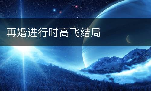 再婚进行时高飞结局