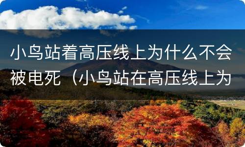 小鸟站着高压线上为什么不会被电死（小鸟站在高压线上为什么不会触电而死）