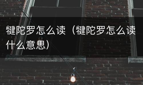 犍陀罗怎么读（犍陀罗怎么读什么意思）