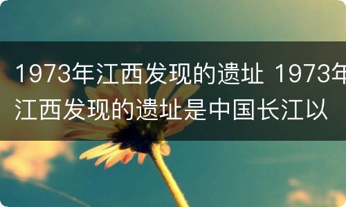 1973年江西发现的遗址 1973年江西发现的遗址是中国长江以南
