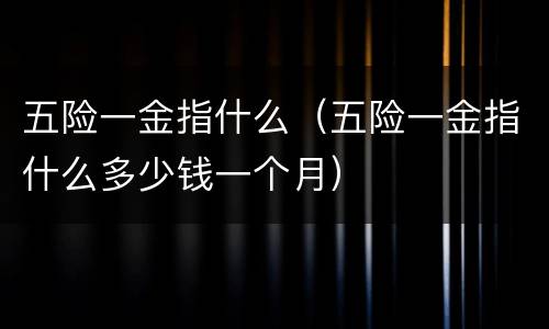 五险一金指什么（五险一金指什么多少钱一个月）