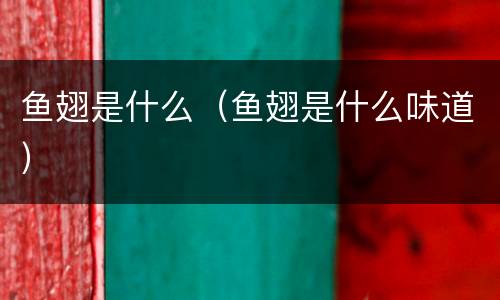 鱼翅是什么（鱼翅是什么味道）