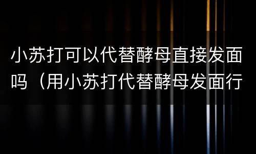 小苏打可以代替酵母直接发面吗（用小苏打代替酵母发面行不行）