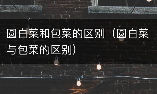 圆白菜和包菜的区别（圆白菜与包菜的区别）