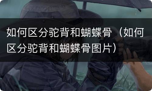 如何区分驼背和蝴蝶骨（如何区分驼背和蝴蝶骨图片）