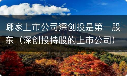 哪家上市公司深创投是第一股东（深创投持股的上市公司）