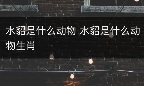 水貂是什么动物 水貂是什么动物生肖