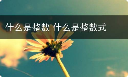 什么是整数 什么是整数式
