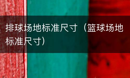 排球场地标准尺寸（篮球场地标准尺寸）