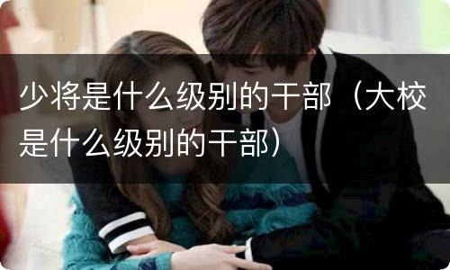 少将是什么级别的干部(大校是什么级别的干部)