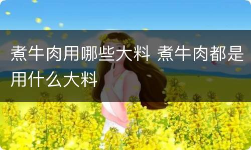 煮牛肉用哪些大料 煮牛肉都是用什么大料