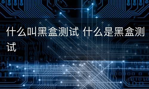 什么叫黑盒测试 什么是黑盒测试