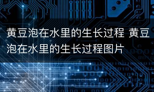黄豆泡在水里的生长过程 黄豆泡在水里的生长过程图片