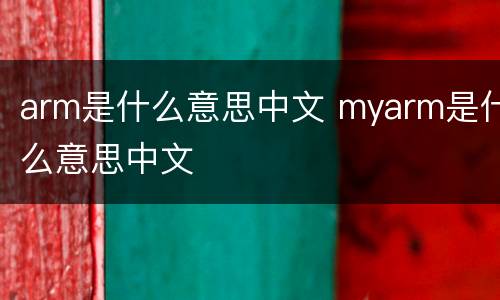 arm是什么意思中文 myarm是什么意思中文