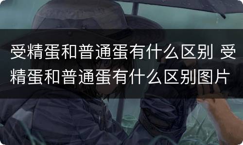 受精蛋和普通蛋有什么区别 受精蛋和普通蛋有什么区别图片