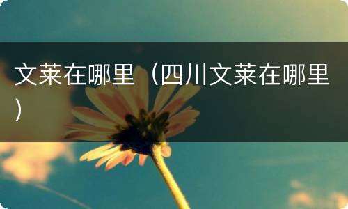 文莱在哪里（四川文莱在哪里）