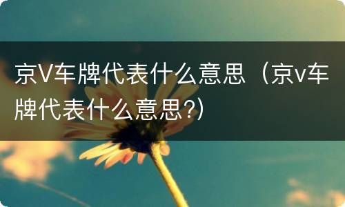 京V车牌代表什么意思（京v车牌代表什么意思?）