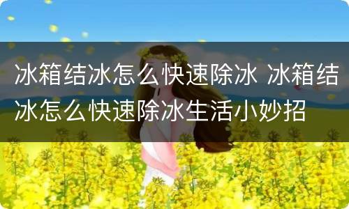 冰箱结冰怎么快速除冰 冰箱结冰怎么快速除冰生活小妙招