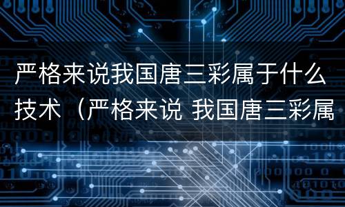严格来说我国唐三彩属于什么技术（严格来说 我国唐三彩属于什么技术）