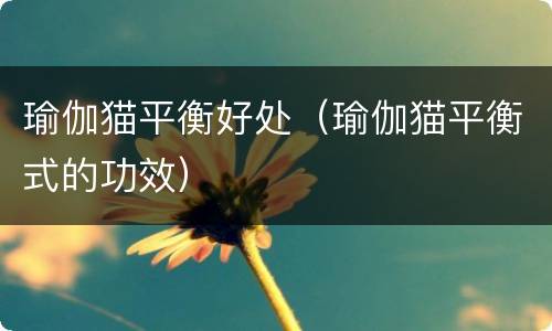 瑜伽猫平衡好处（瑜伽猫平衡式的功效）