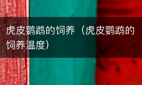 虎皮鹦鹉的饲养（虎皮鹦鹉的饲养温度）