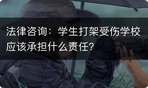 法律咨询：学生打架受伤学校应该承担什么责任？